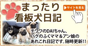 京都 でリフォーム・リノベーション なら株式会社 広岡装美 「まったり看板犬日記」ブログ。　チワワのダイちゃん、パグのふくママ＆アン娘が楽しいワンコライフやスタッフのあれこれな毎日を綴ります。